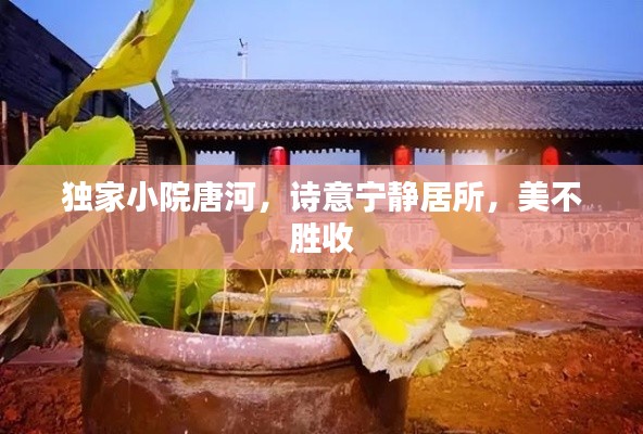 獨家小院唐河，詩意寧靜居所，美不勝收