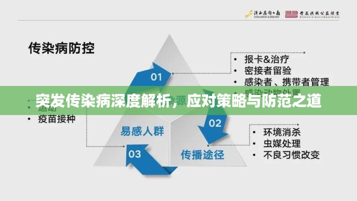 突發(fā)傳染病深度解析，應(yīng)對(duì)策略與防范之道