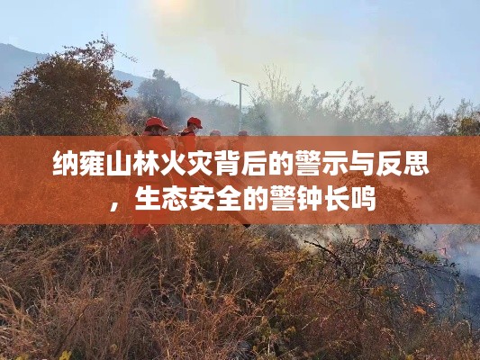 納雍山林火災(zāi)背后的警示與反思，生態(tài)安全的警鐘長(zhǎng)鳴