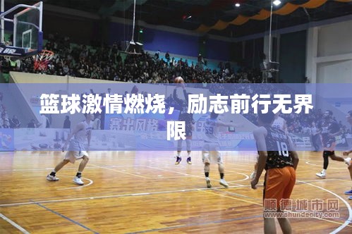 籃球激情燃燒，勵(lì)志前行無(wú)界限