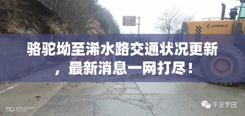 駱駝坳至浠水路交通狀況更新，最新消息一網(wǎng)打盡！