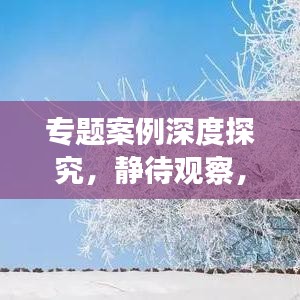 專題案例深度探究，靜待觀察，揭秘未知