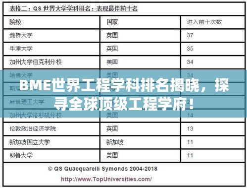 BME世界工程學(xué)科排名揭曉，探尋全球頂級工程學(xué)府！
