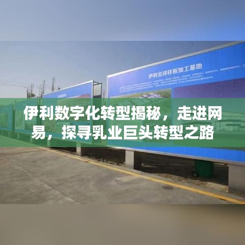 伊利數(shù)字化轉(zhuǎn)型揭秘，走進(jìn)網(wǎng)易，探尋乳業(yè)巨頭轉(zhuǎn)型之路
