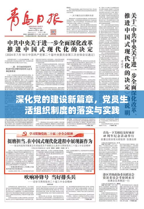 深化黨的建設(shè)新篇章，黨員生活組織制度的落實與實踐