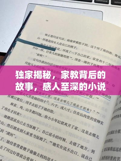 獨(dú)家揭秘，家教背后的故事，感人至深的小說閱讀