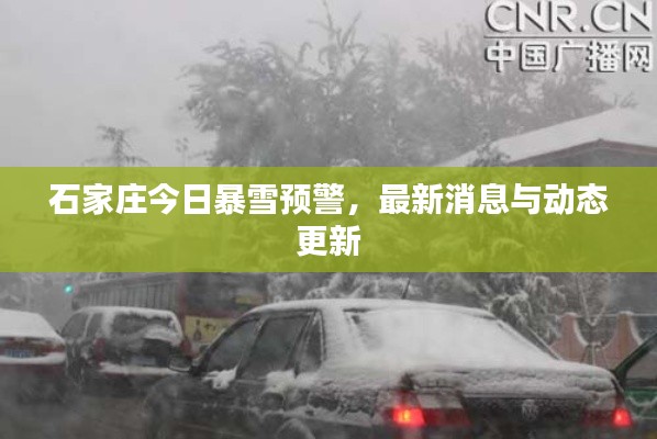 石家莊今日暴雪預(yù)警，最新消息與動態(tài)更新