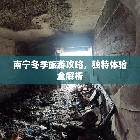 南寧冬季旅游攻略，獨(dú)特體驗全解析
