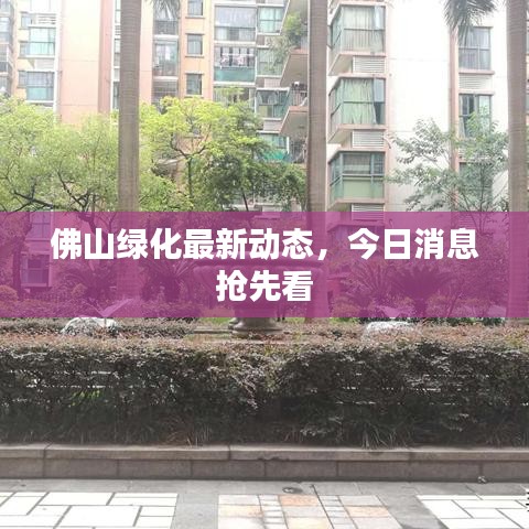 佛山綠化最新動態(tài)，今日消息搶先看