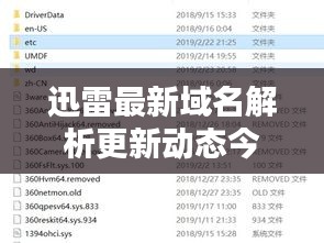 迅雷最新域名解析更新動(dòng)態(tài)今日揭曉