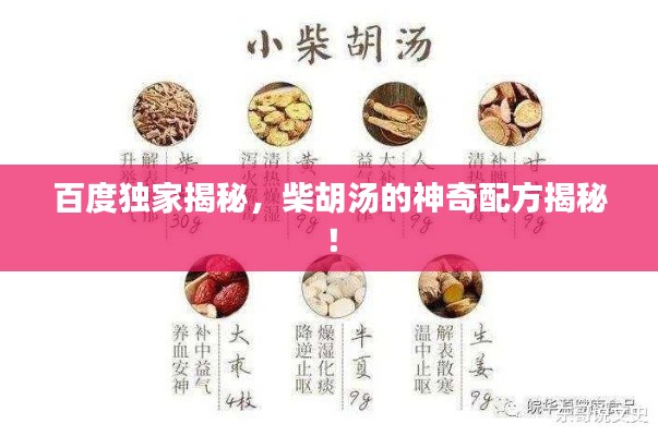百度獨家揭秘，柴胡湯的神奇配方揭秘！