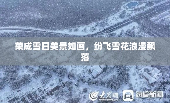 榮成雪日美景如畫，紛飛雪花浪漫飄落
