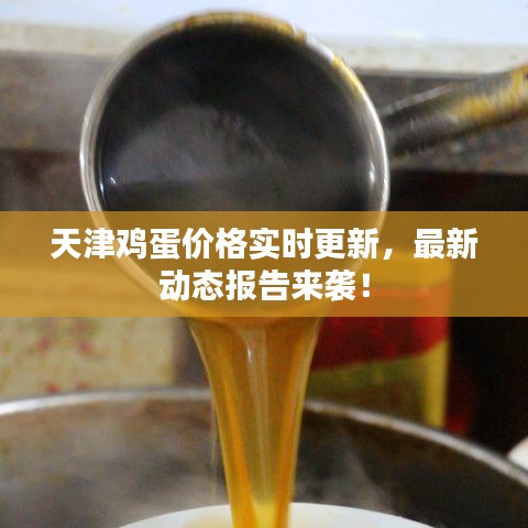 天津雞蛋價格實時更新，最新動態(tài)報告來襲！