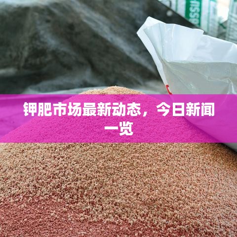 鉀肥市場最新動(dòng)態(tài)，今日新聞一覽