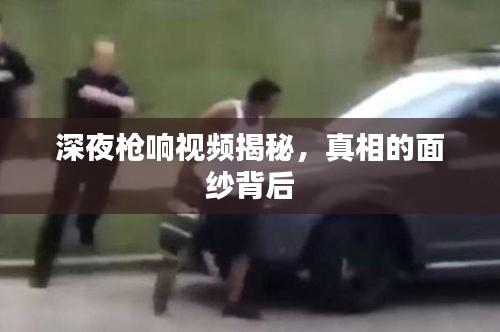 深夜槍響視頻揭秘，真相的面紗背后