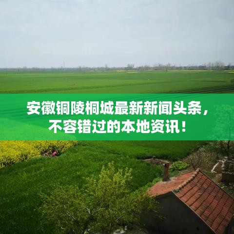 安徽銅陵桐城最新新聞頭條，不容錯過的本地資訊！