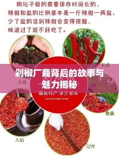 革新變舊 第2頁