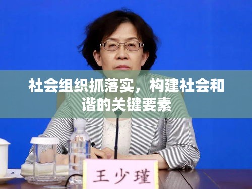 社會(huì)組織抓落實(shí)，構(gòu)建社會(huì)和諧的關(guān)鍵要素