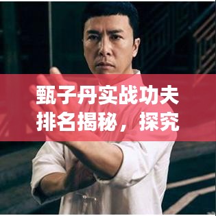 甄子丹實戰(zhàn)功夫排名揭秘，探究武術(shù)巨星的超凡實力