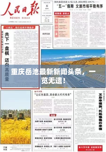 重慶岳池最新新聞?lì)^條，一覽無遺！