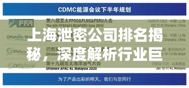 上海泄密公司排名揭秘，深度解析行業(yè)巨頭