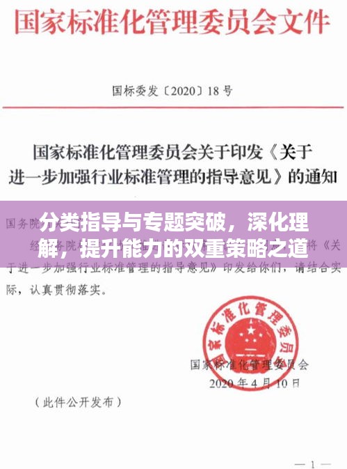 分類指導(dǎo)與專題突破，深化理解，提升能力的雙重策略之道