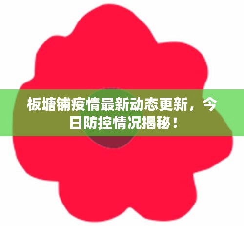 板塘鋪疫情最新動態(tài)更新，今日防控情況揭秘！