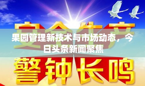 果園管理新技術與市場動態(tài)，今日頭條新聞聚焦
