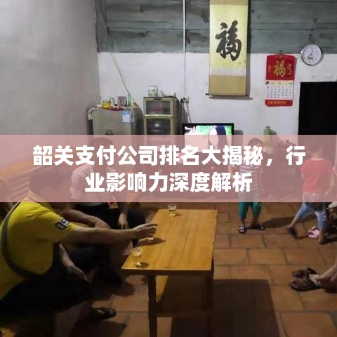 韶關支付公司排名大揭秘，行業(yè)影響力深度解析