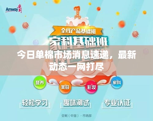 今日單棉市場消息速遞，最新動態(tài)一網(wǎng)打盡