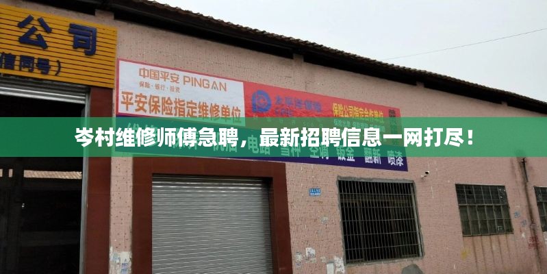 岑村維修師傅急聘，最新招聘信息一網(wǎng)打盡！