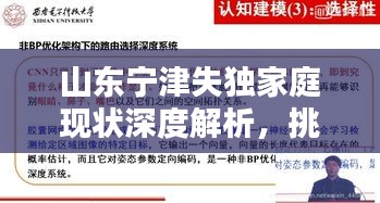 山東寧津失獨家庭現(xiàn)狀深度解析，挑戰(zhàn)與對策