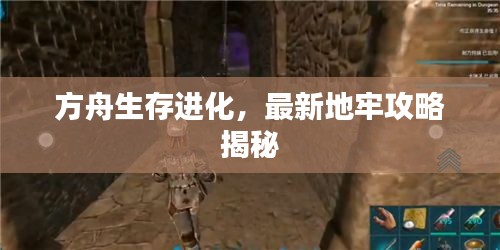 方舟生存進化，最新地牢攻略揭秘