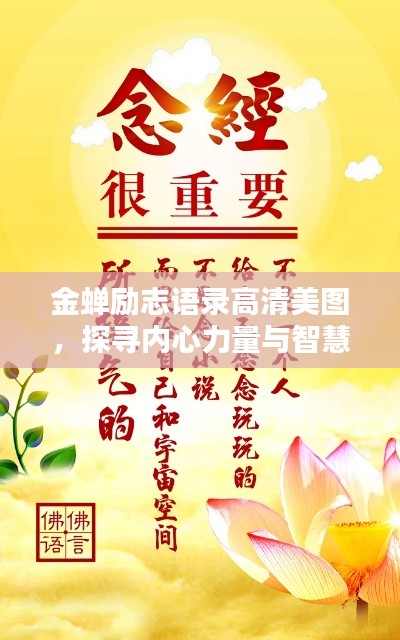 金蟬勵志語錄高清美圖，探尋內(nèi)心力量與智慧，激發(fā)無限潛能！