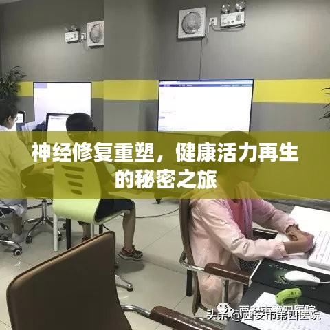 神經(jīng)修復(fù)重塑，健康活力再生的秘密之旅