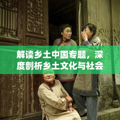 解讀鄉(xiāng)土中國專題，深度剖析鄉(xiāng)土文化與社會根源