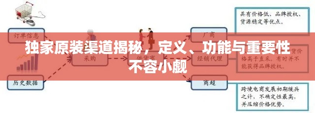 獨(dú)家原裝渠道揭秘，定義、功能與重要性不容小覷