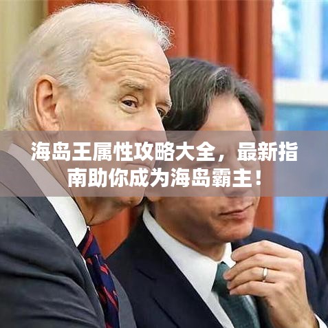 海島王屬性攻略大全，最新指南助你成為海島霸主！