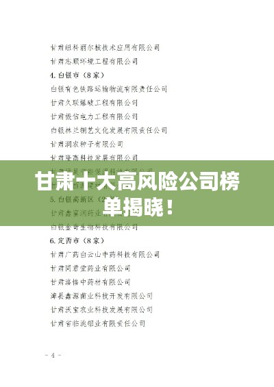 甘肅十大高風(fēng)險(xiǎn)公司榜單揭曉！