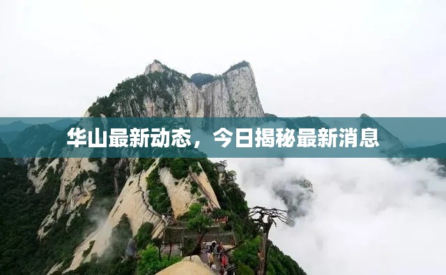 華山最新動態(tài)，今日揭秘最新消息