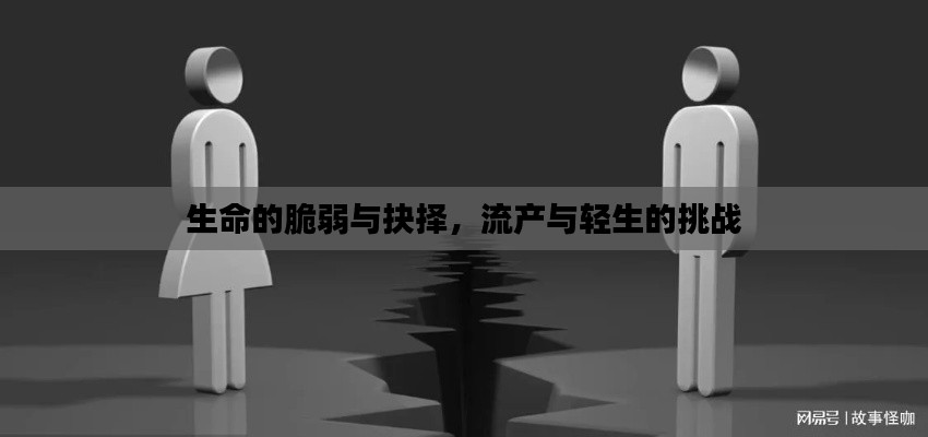 生命的脆弱與抉擇，流產(chǎn)與輕生的挑戰(zhàn)