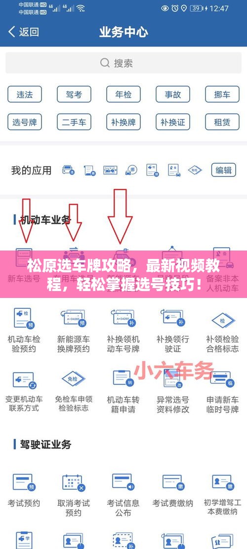 松原選車(chē)牌攻略，最新視頻教程，輕松掌握選號(hào)技巧！