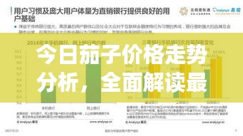 今日茄子價格走勢分析，全面解讀最新行情