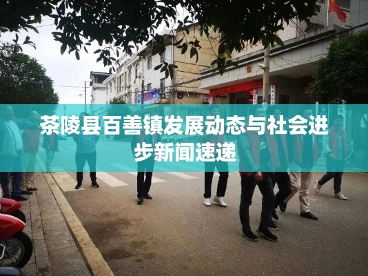 茶陵縣百善鎮(zhèn)發(fā)展動態(tài)與社會進步新聞速遞