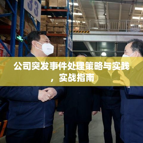 公司突發(fā)事件處理策略與實踐，實戰(zhàn)指南