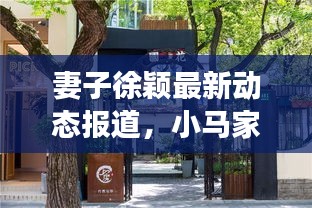 妻子徐穎最新動態(tài)報道，小馬家的新鮮事