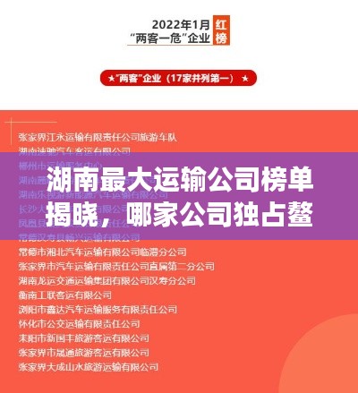 湖南最大運(yùn)輸公司榜單揭曉，哪家公司獨(dú)占鰲頭？