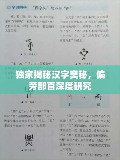 獨(dú)家揭秘漢字奧秘，偏旁部首深度研究