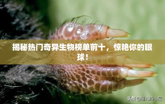 揭秘?zé)衢T(mén)奇異生物榜單前十，驚艷你的眼球！