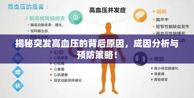 揭秘突發(fā)高血壓的背后原因，成因分析與預(yù)防策略！